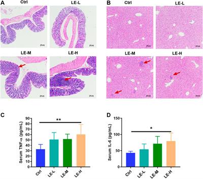 Excessive Intake of Longan Arillus Alters <mark class="highlighted">gut Homeostasis</mark> and Aggravates Colitis in Mice